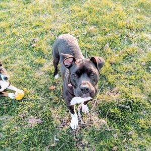 Meet your Posher, Jacob